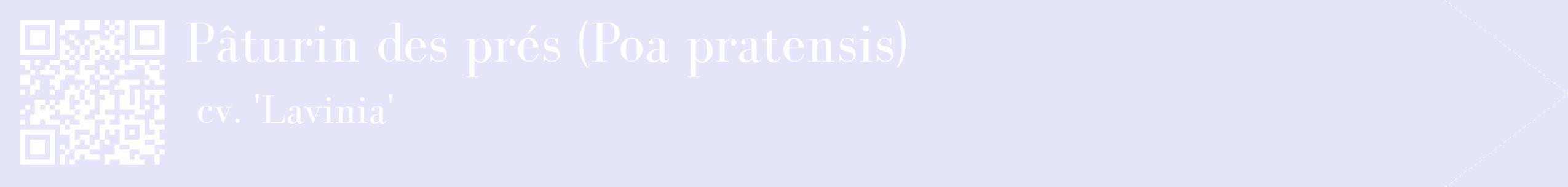 étiquette 2