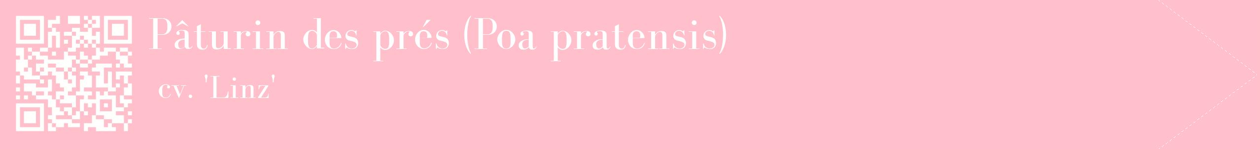 étiquette 2