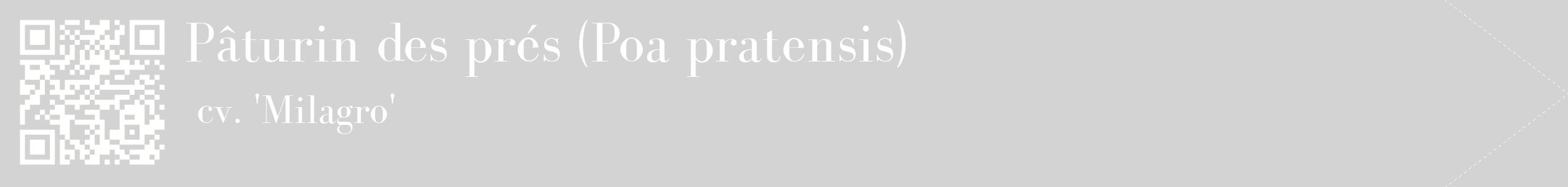 étiquette 2