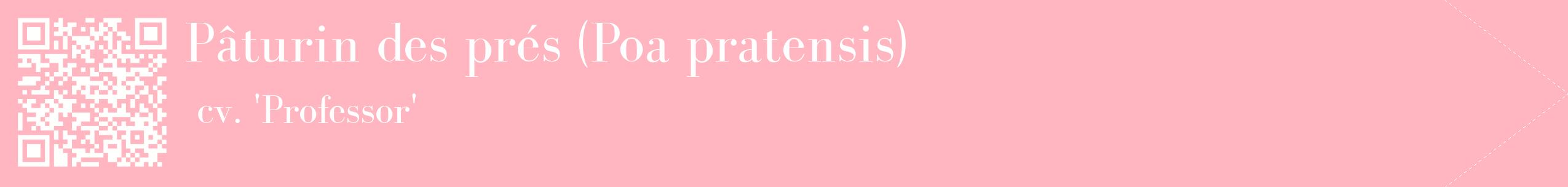 étiquette 2