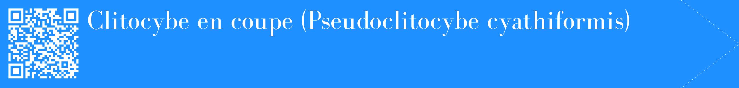 étiquette 2