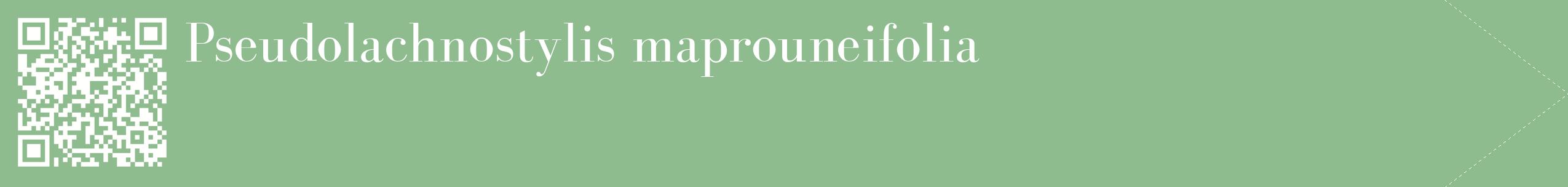 étiquette 2