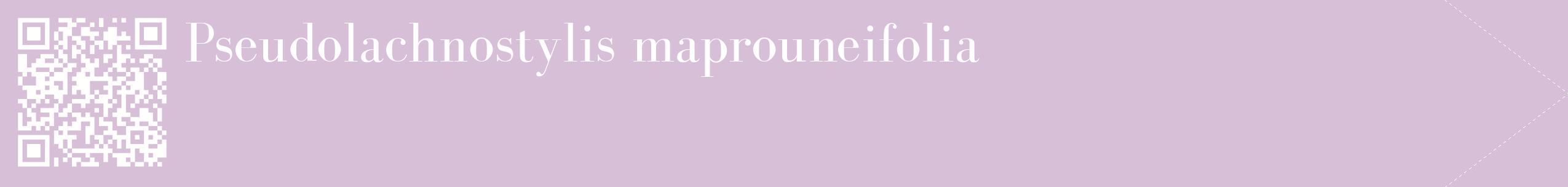 étiquette 2