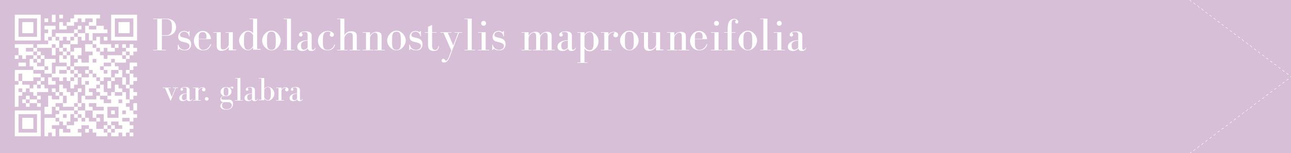 étiquette 2