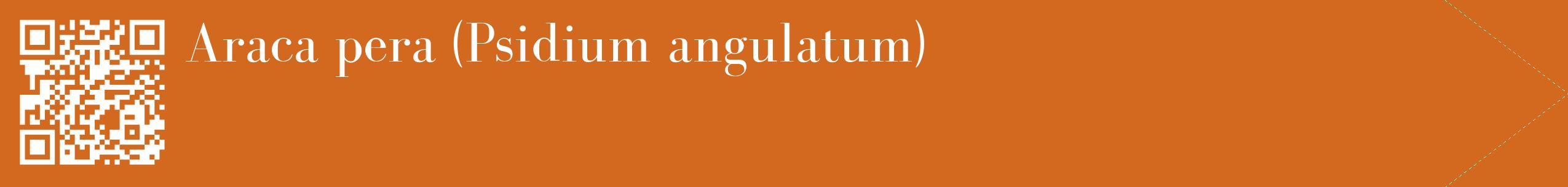 étiquette 2