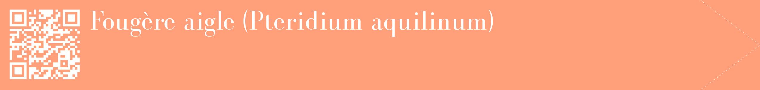 étiquette 2