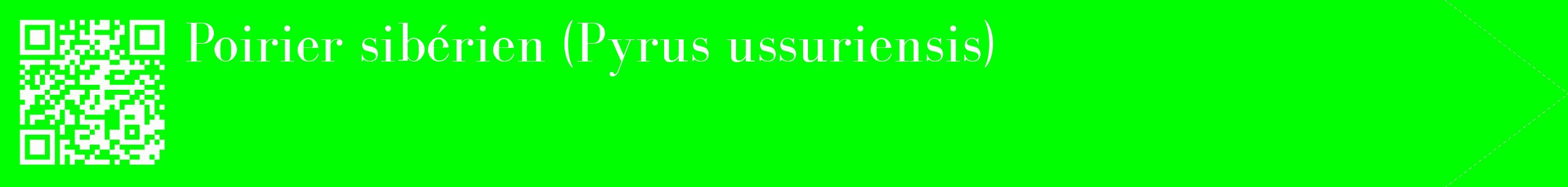 étiquette 2