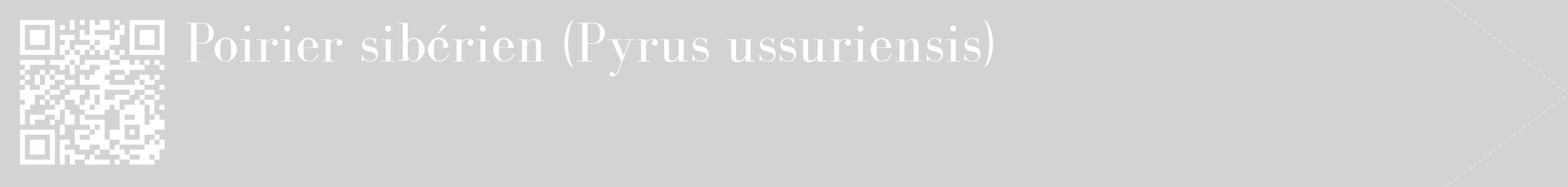 étiquette 2