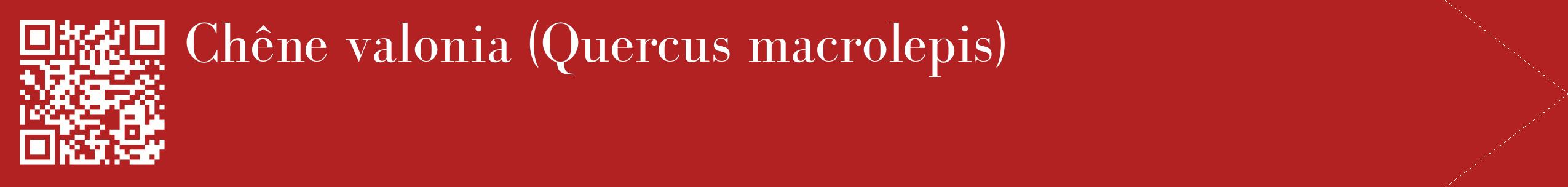 étiquette 2