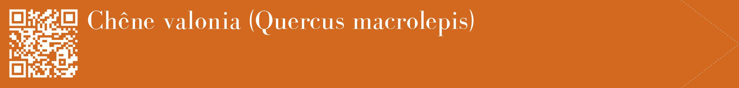 étiquette 2