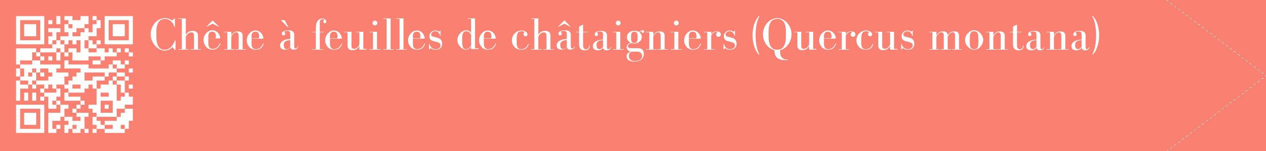 étiquette 2