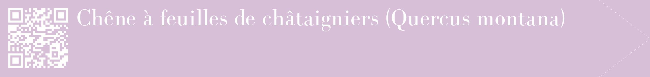 étiquette 2
