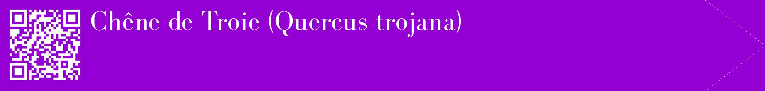 étiquette 2