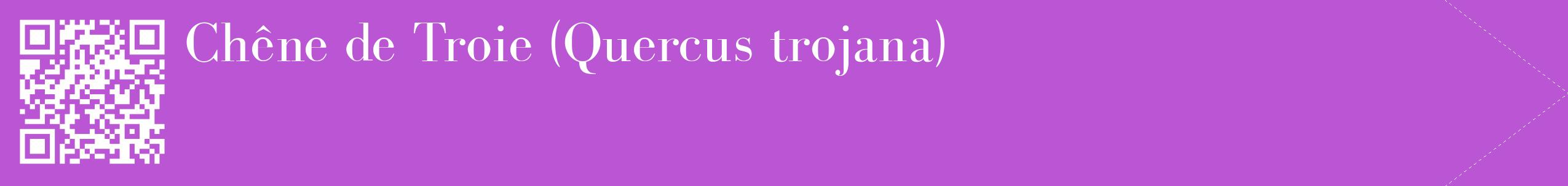 étiquette 2