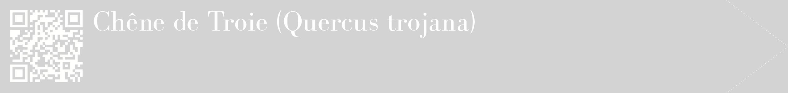 étiquette 2