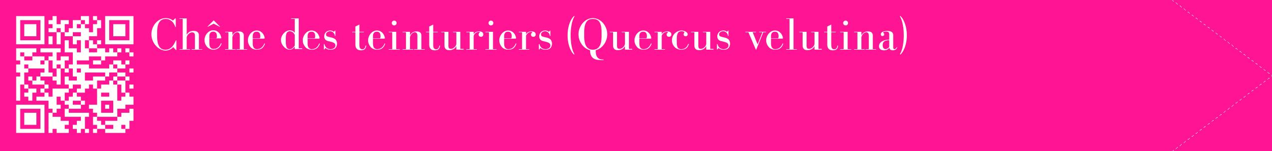 étiquette 2