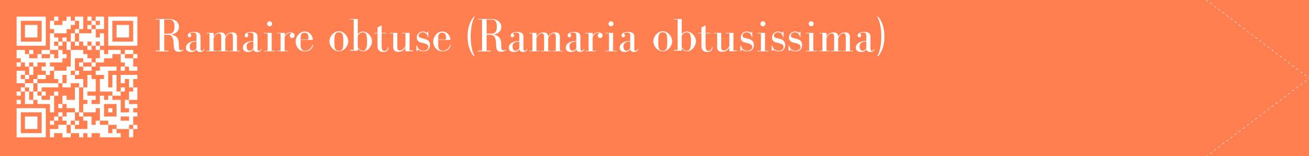 étiquette 2