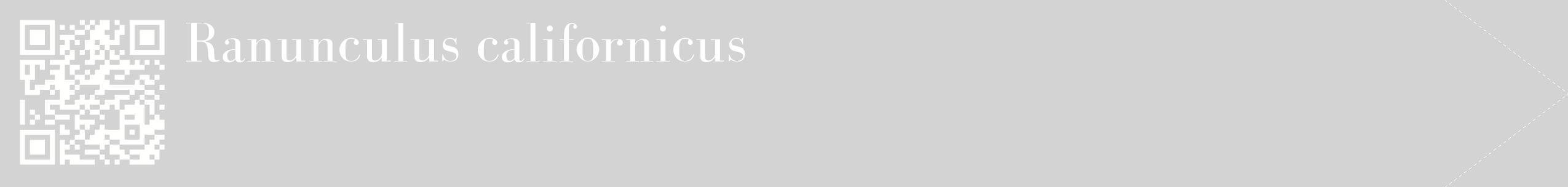 étiquette 2