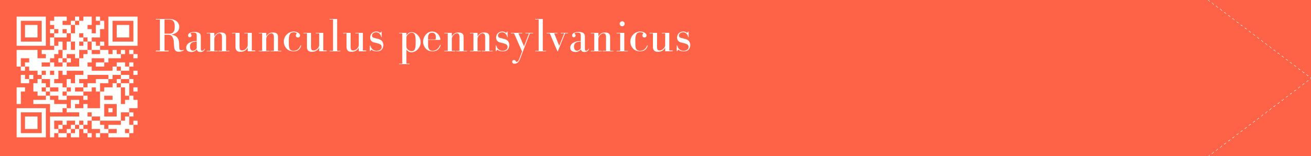 étiquette 2