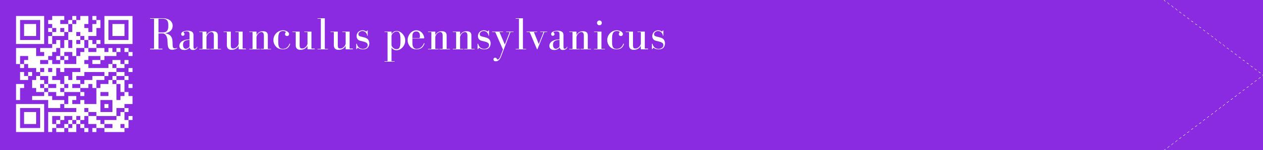 étiquette 2