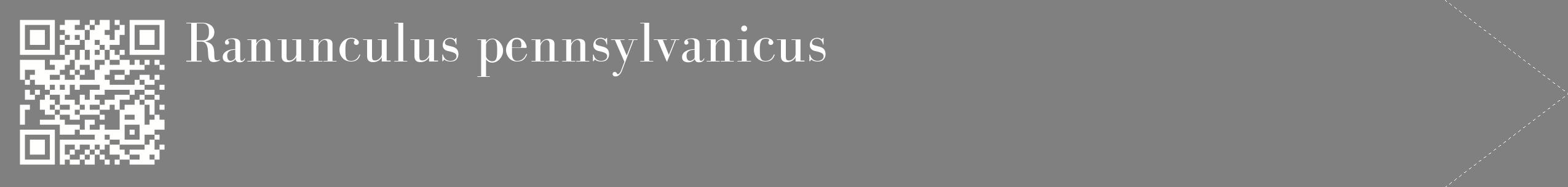 étiquette 2