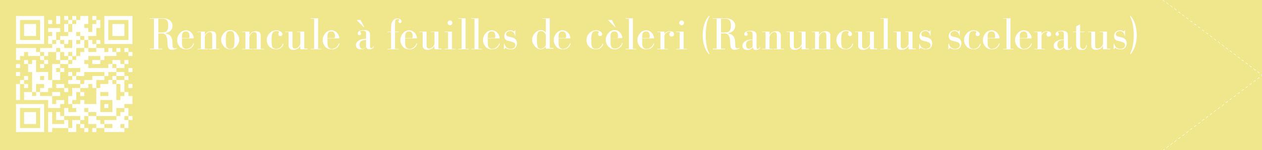 étiquette 2