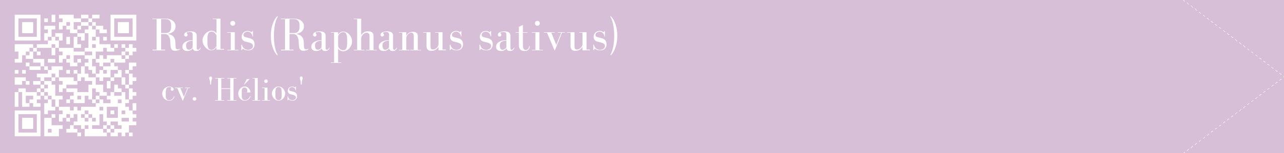 étiquette 2