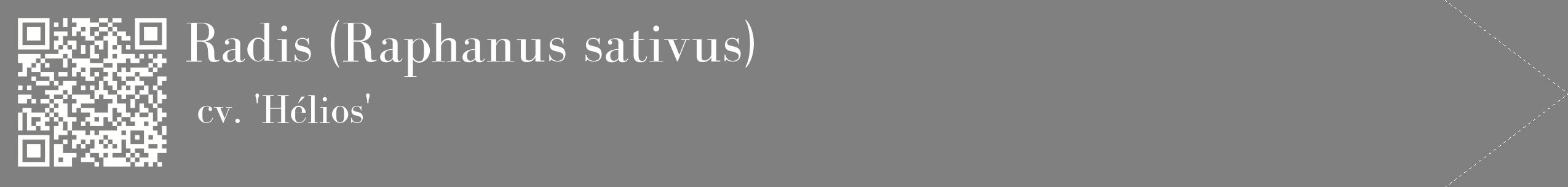 étiquette 2