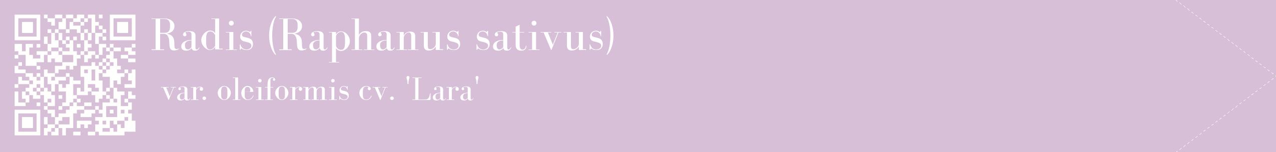 étiquette 2