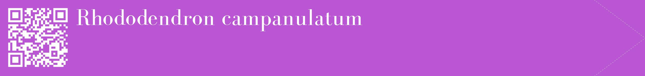 étiquette 2