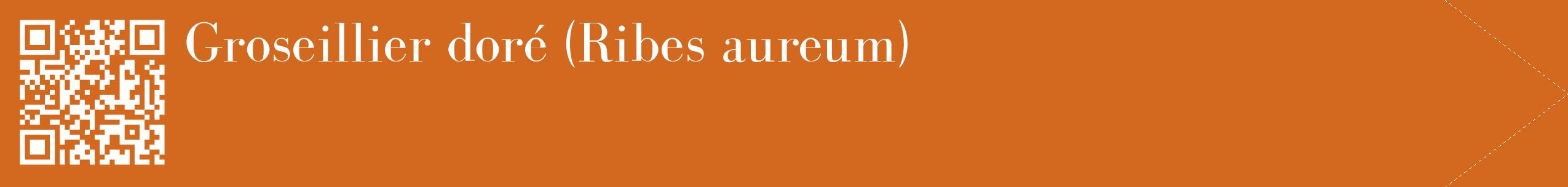 étiquette 2