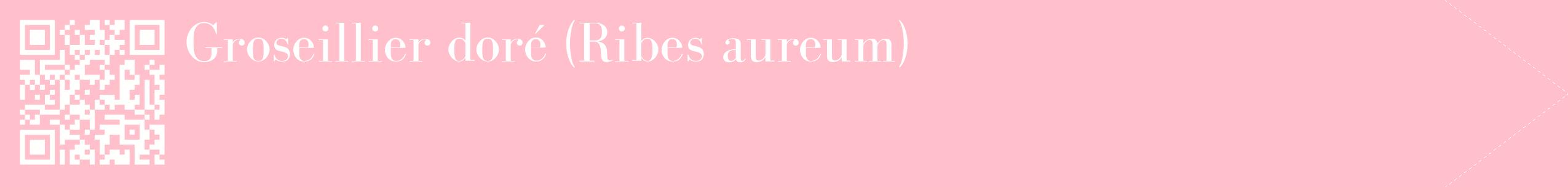 étiquette 2