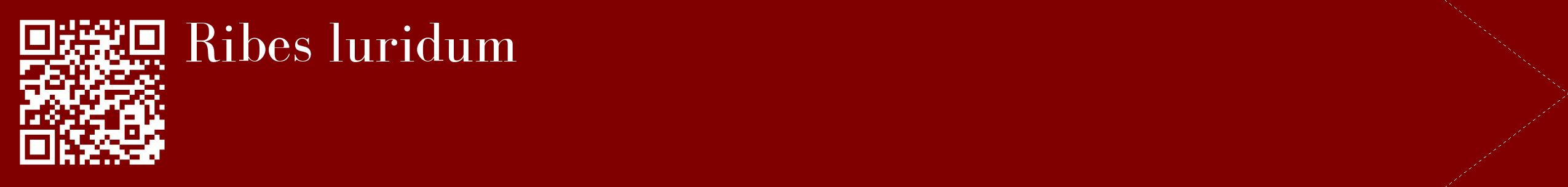 étiquette 2