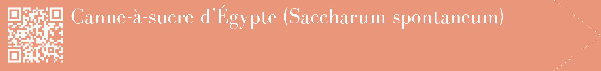 étiquette 2