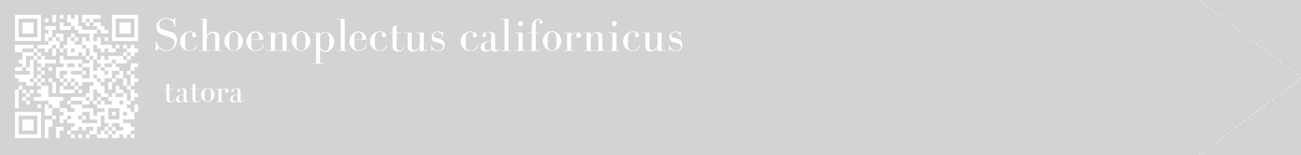 étiquette 2