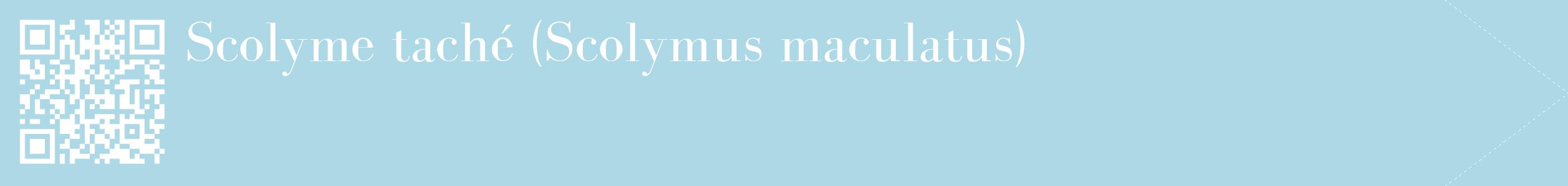étiquette 2
