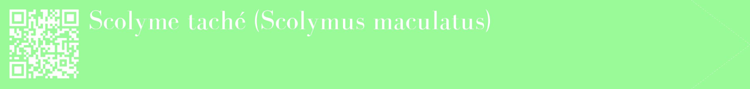 étiquette 2