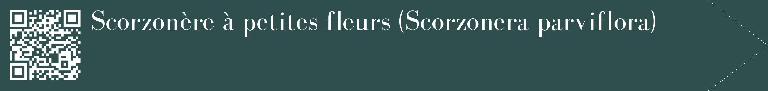 étiquette 2