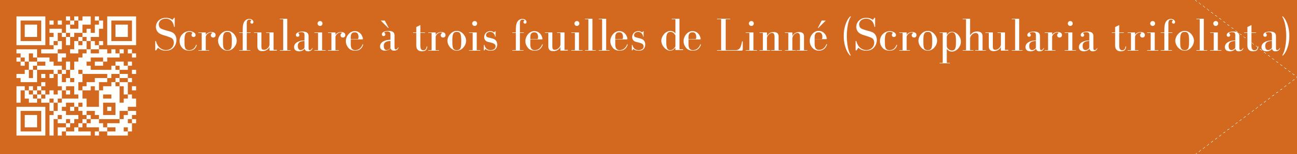 étiquette 2