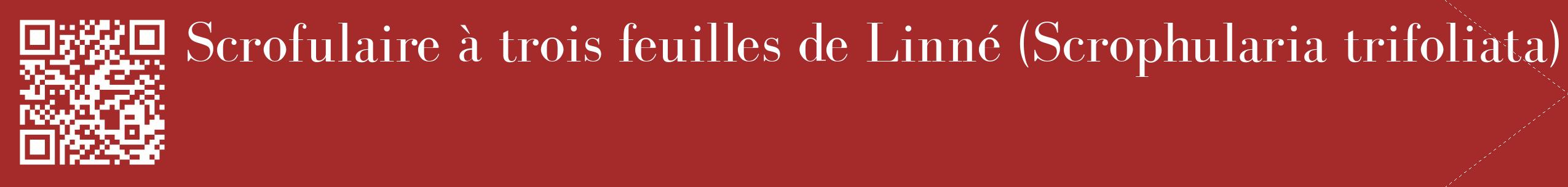étiquette 2
