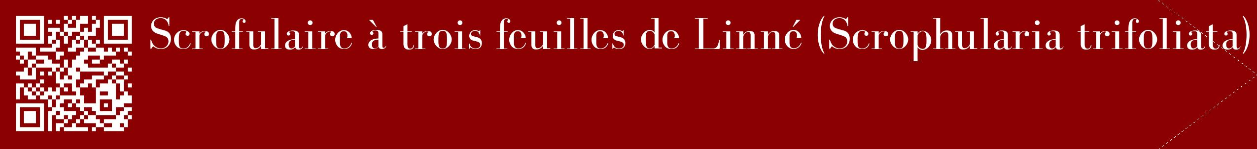 étiquette 2