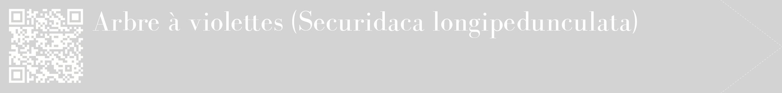 étiquette 2