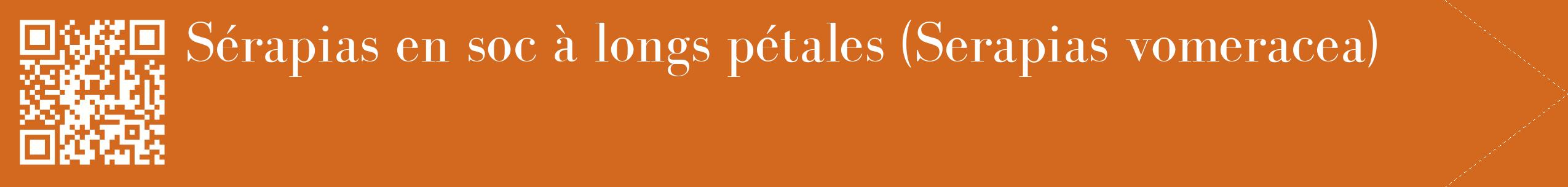 étiquette 2