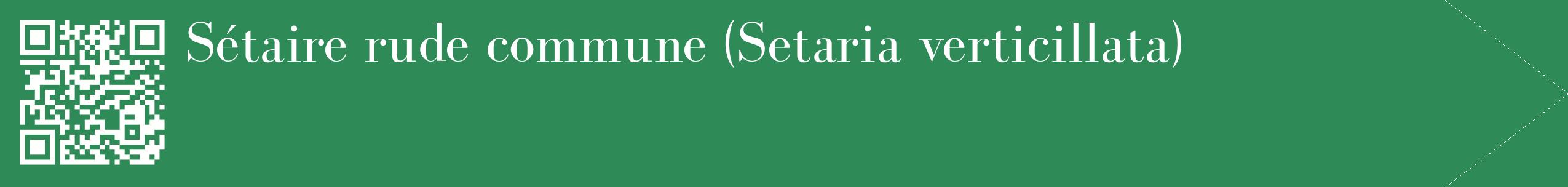 étiquette 2