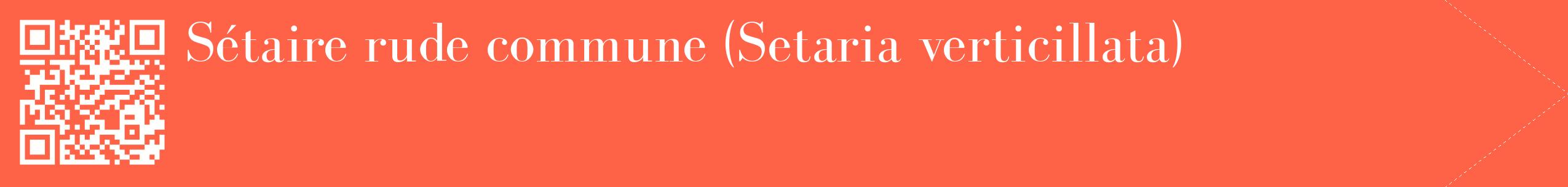 étiquette 2