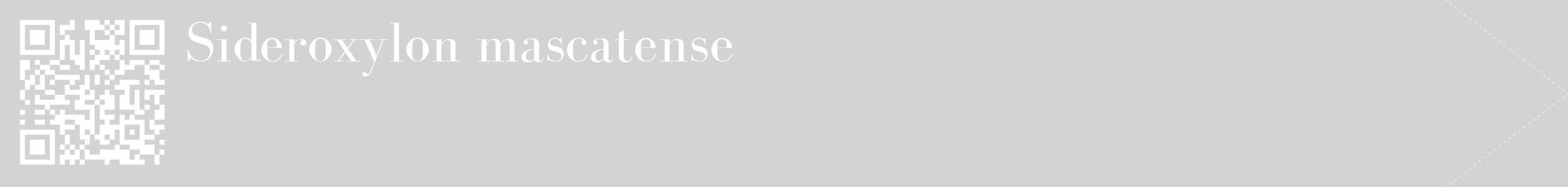 étiquette 2