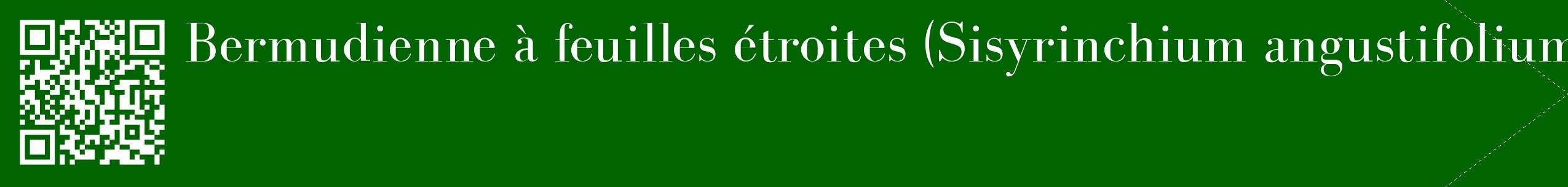 étiquette 2