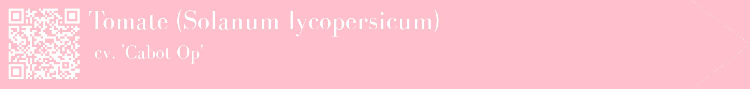 étiquette 2