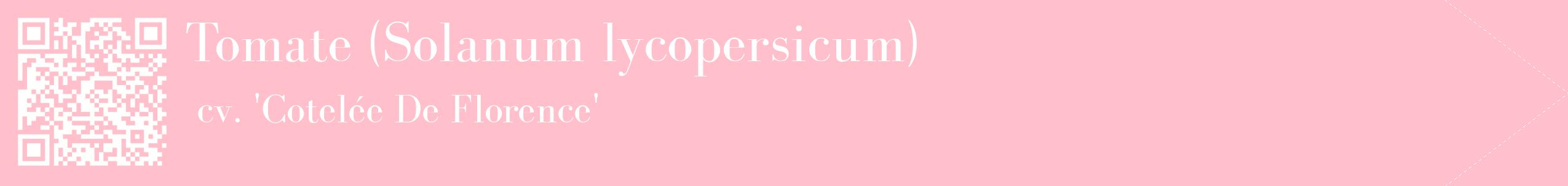 étiquette 2