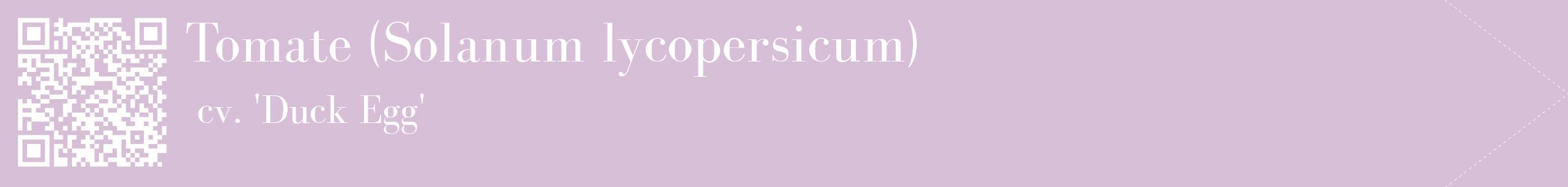 étiquette 2